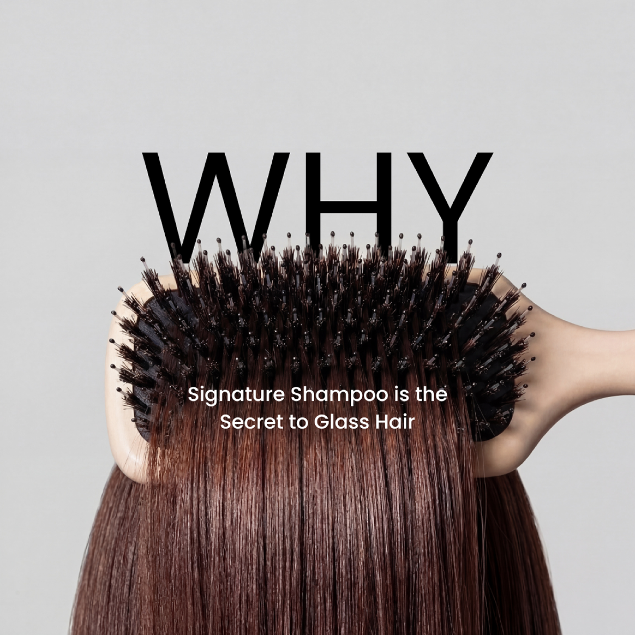 Person holding a hairbrush with long, straight hair and text about signature shampoo on a gray background